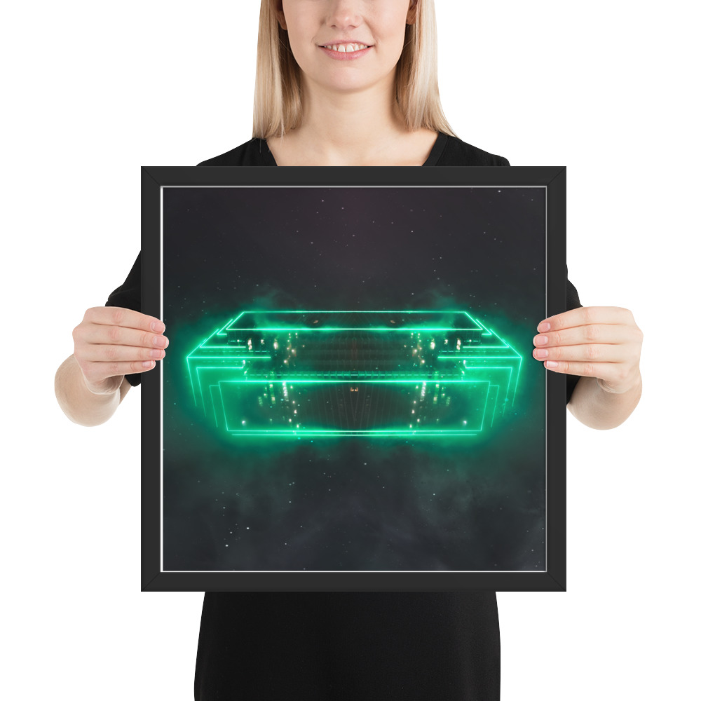 B O A Starship - Image 4